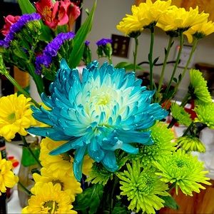 Meet your Posher, Maria